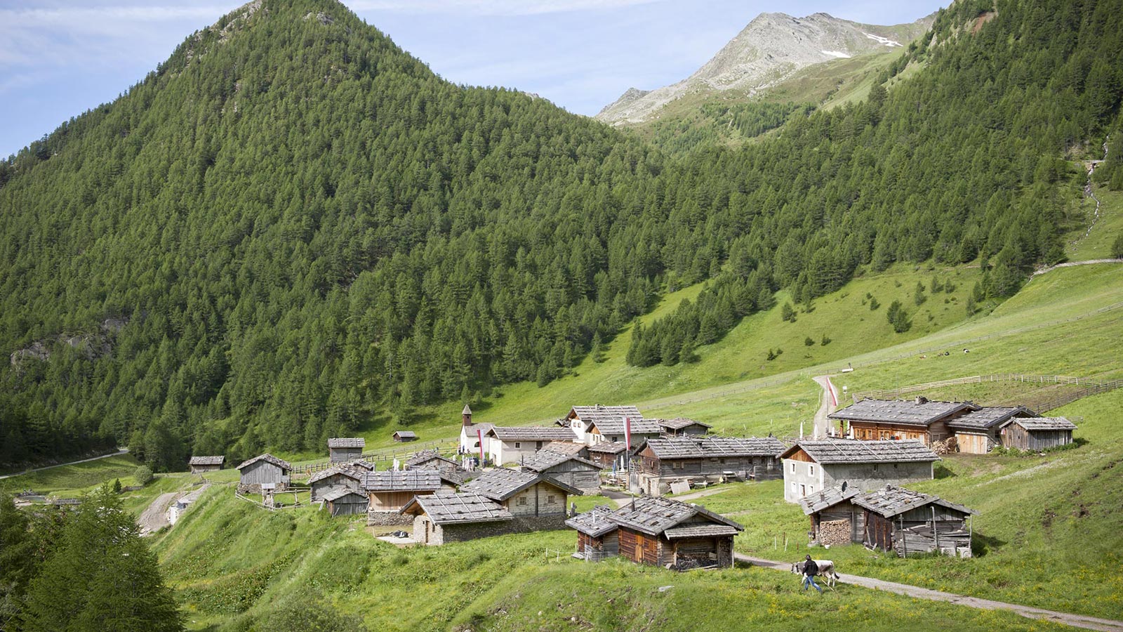 Vista del paese tra i prati verdeggianti