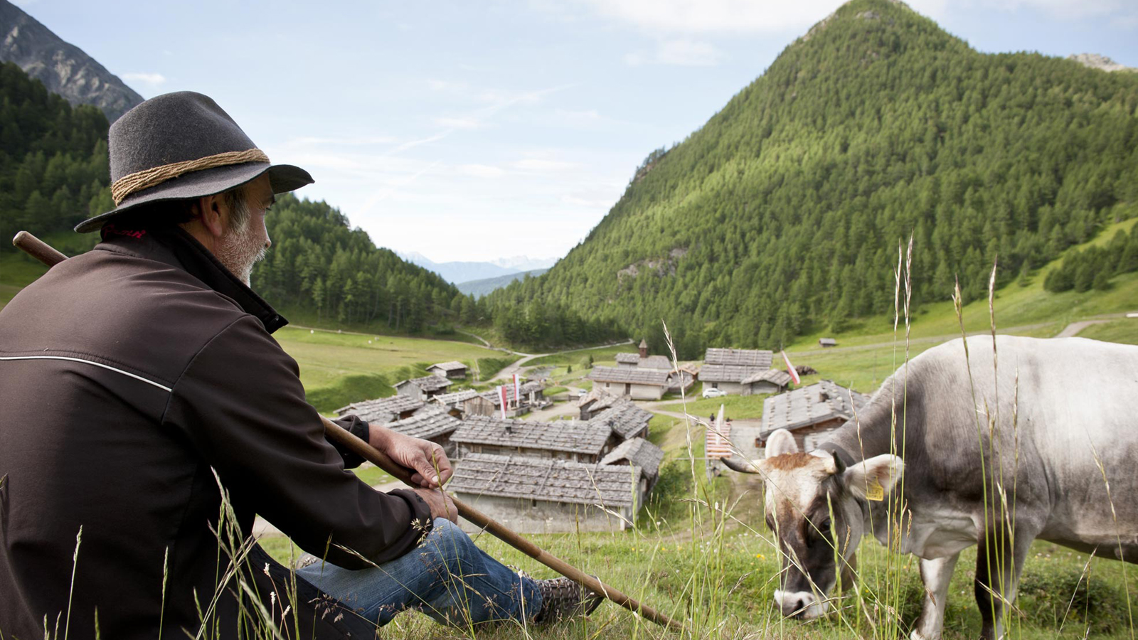 Dettaglio di un pastore seduto sull'erba che si gode la vista sulla valle